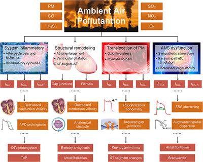 Air Pollution and Cardiac Arrhythmias: From Epidemiological and Clinical Evidences to Cellular Electrophysiological Mechanisms